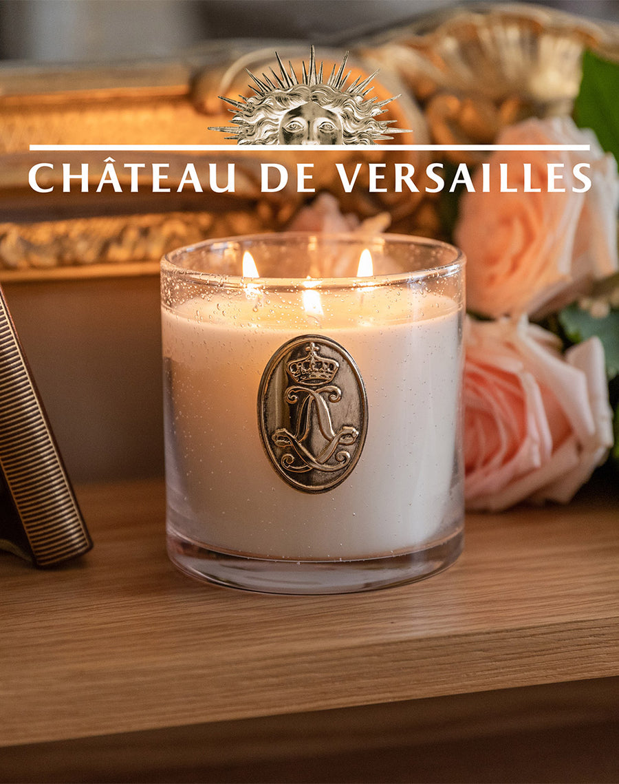 CHATEAU DE VERSAILLES - APPARTEMENT DU ROI 400g