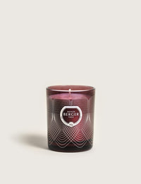 Molecule Prune Scented Candle - Underneath the Magnolias 240g